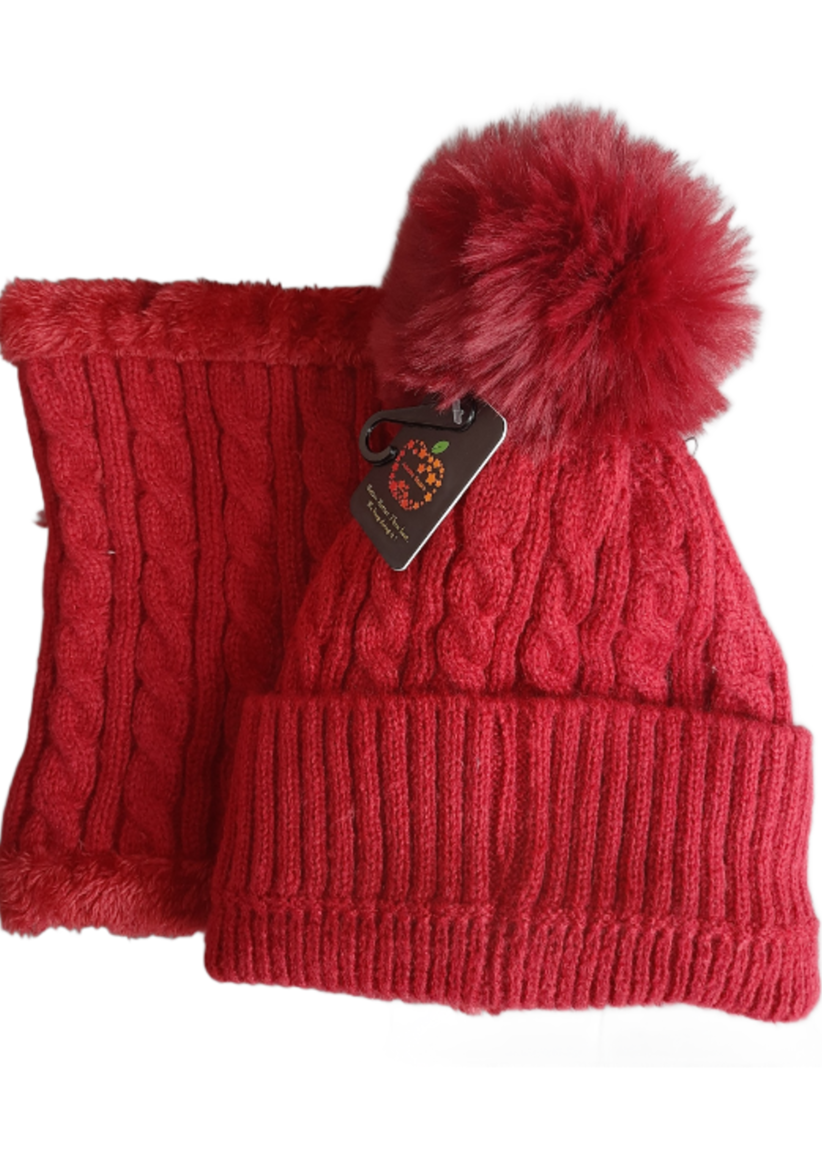 WTM-8660 WINTER LADY HAT SET