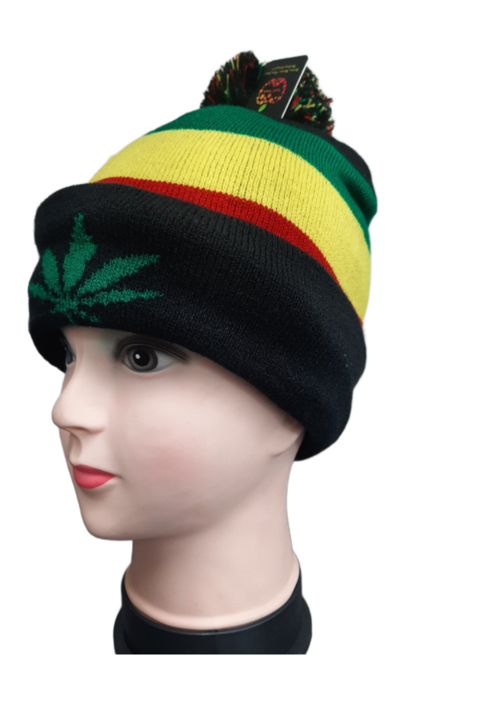 WZZ-8289 WINTER HAT