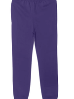 YOUTH PREMIUM JOGGER PANTS PURPLE S