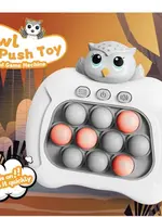 Owl Push Toy