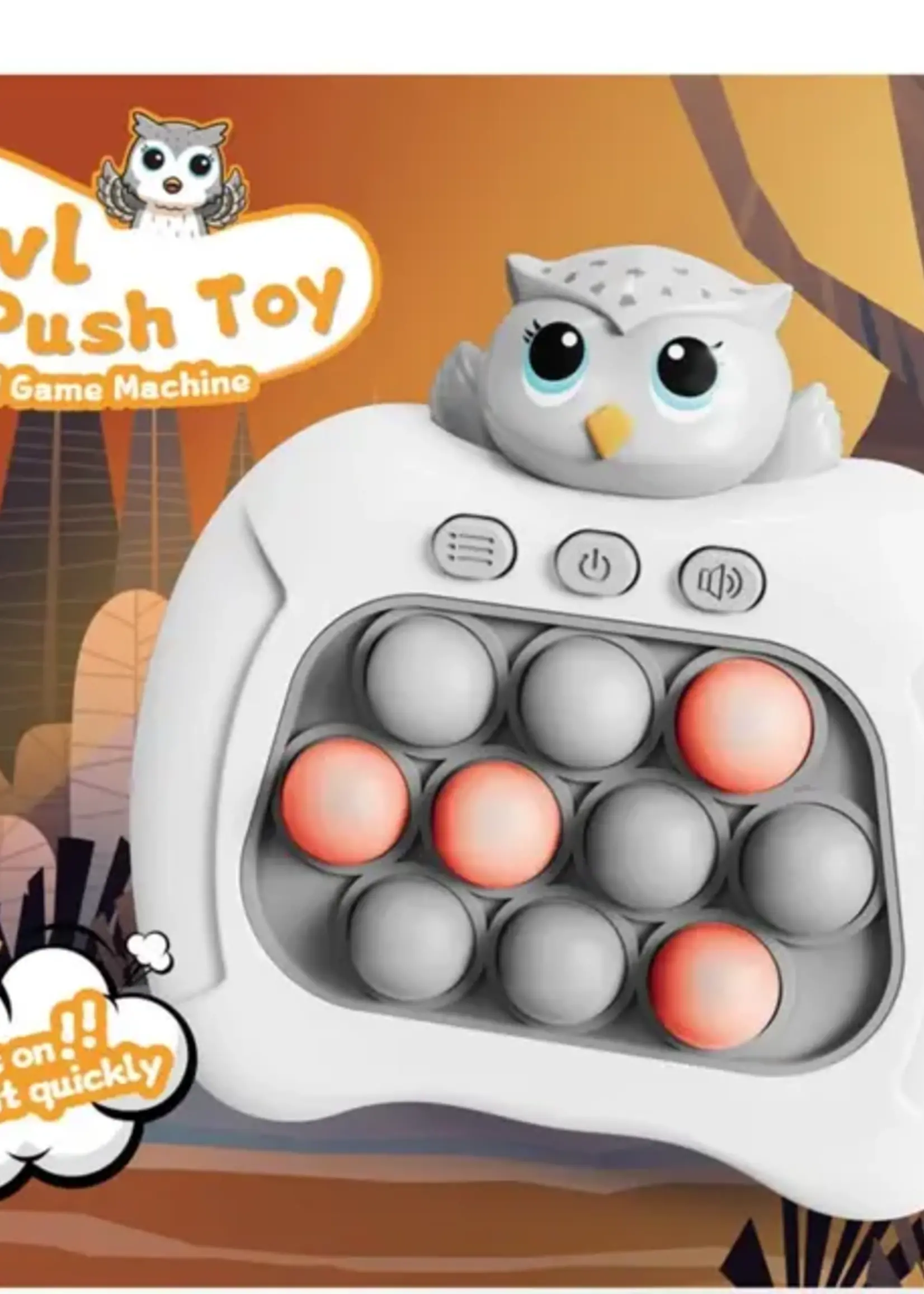 Owl Push Toy