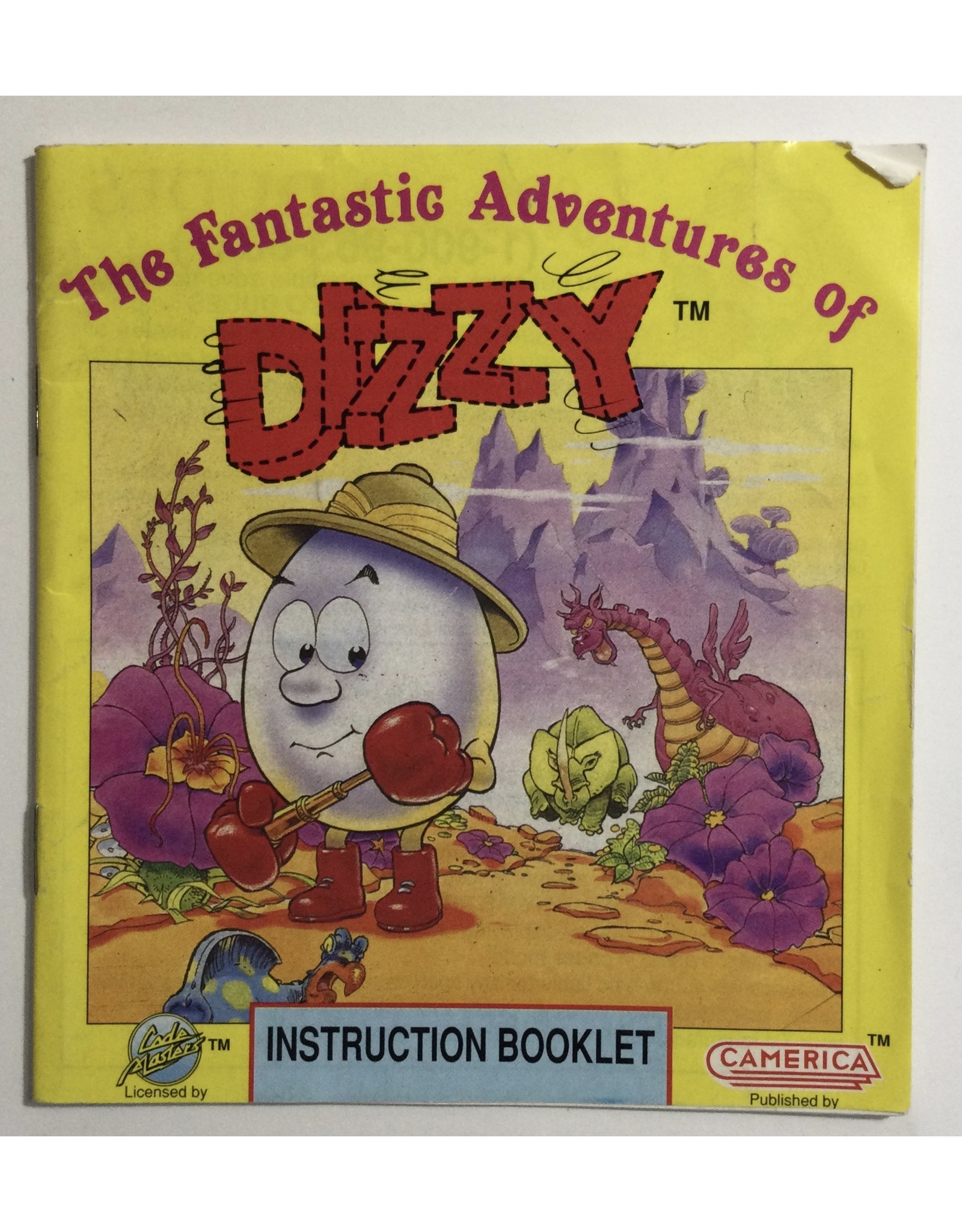Camerica The Fantastic Adventures of Dizzy for Nintendo Entertainment system (NES) - CIB