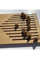 CHH Games The Racing Horse Game (2006) (Board only) (used)