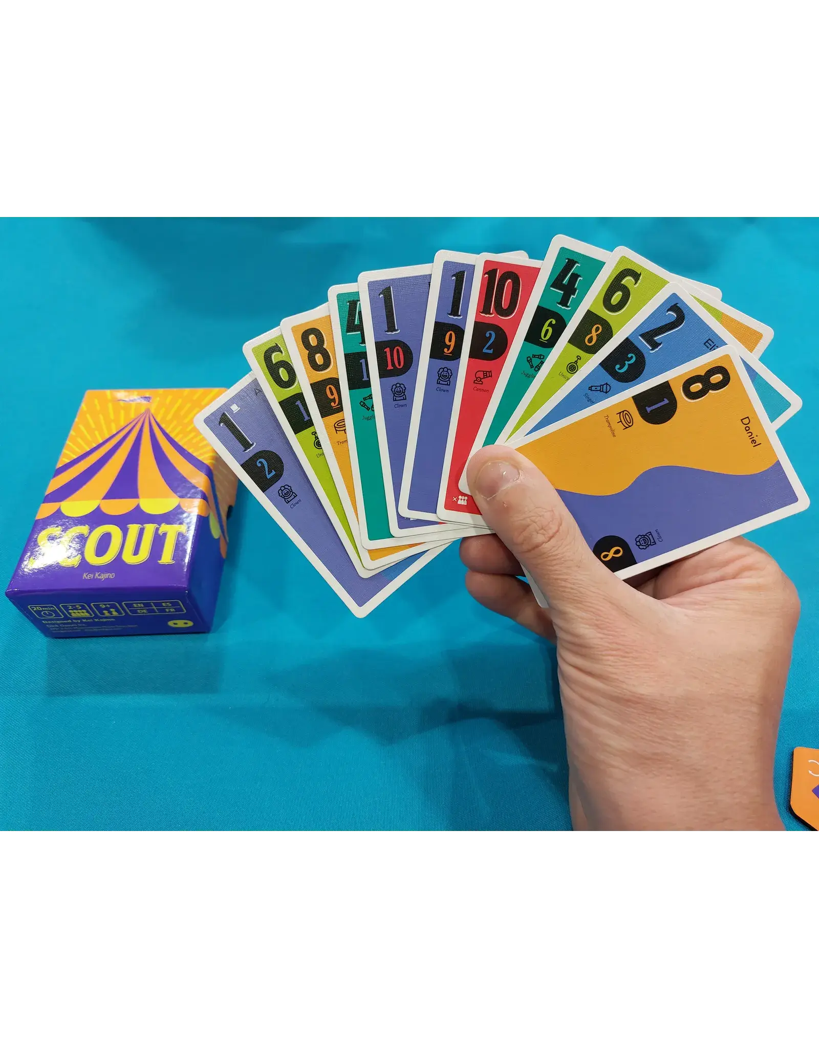 Oink Games Inc SCOUT (2019) New Fully Sleeved Card Game