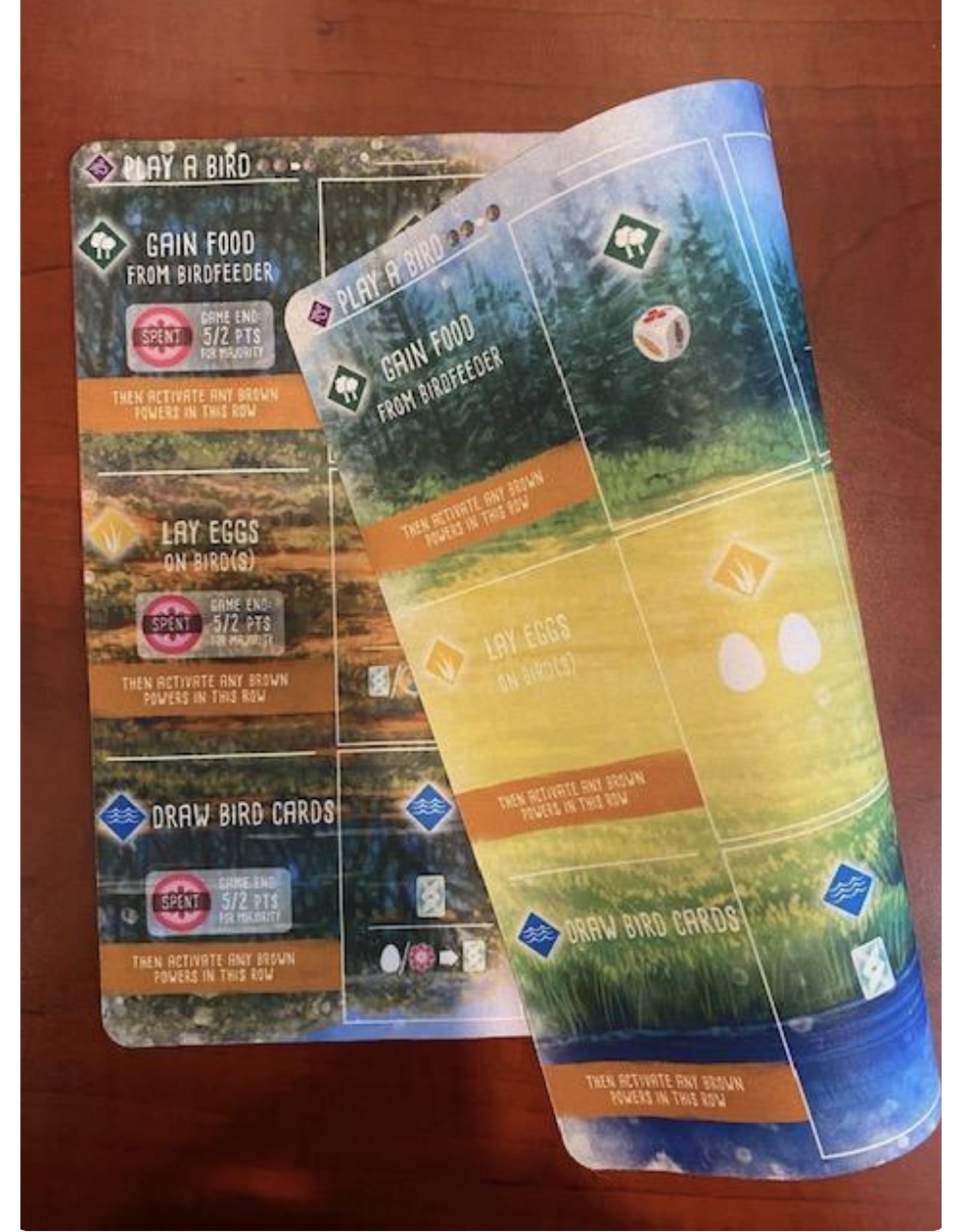 Stonemaier Wingspan (2019)  Bundle Asia, European, Oceania expansions, Fan Designed Card Packs Set 1, 1 WIngspan Playmat, Folded Space Insert, Sleeves