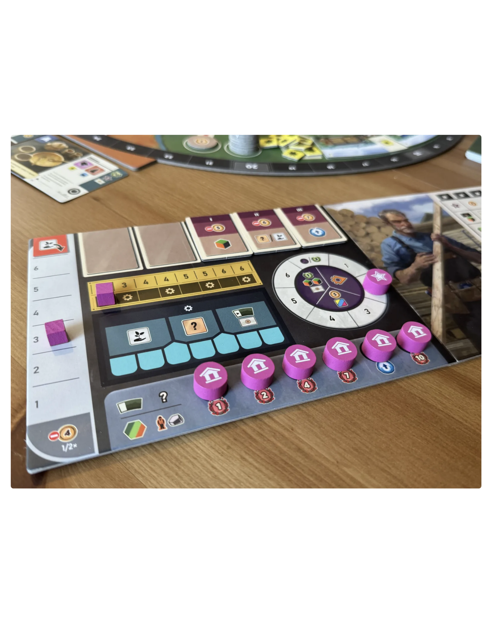 Capstone Games Forestry (2025) New Fully Sleeved