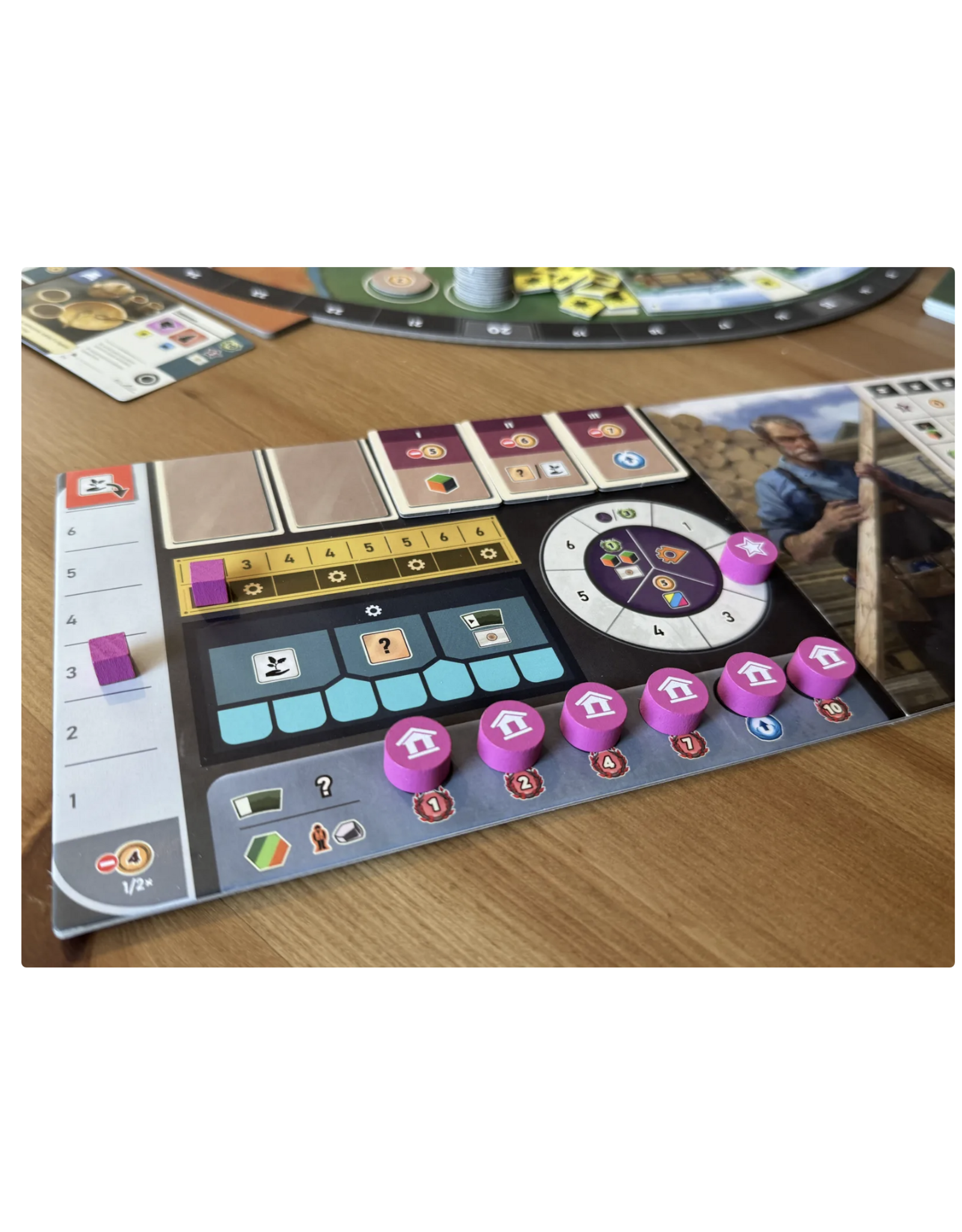 Capstone Games Forestry (2025) NIS with Sleeves Board Game