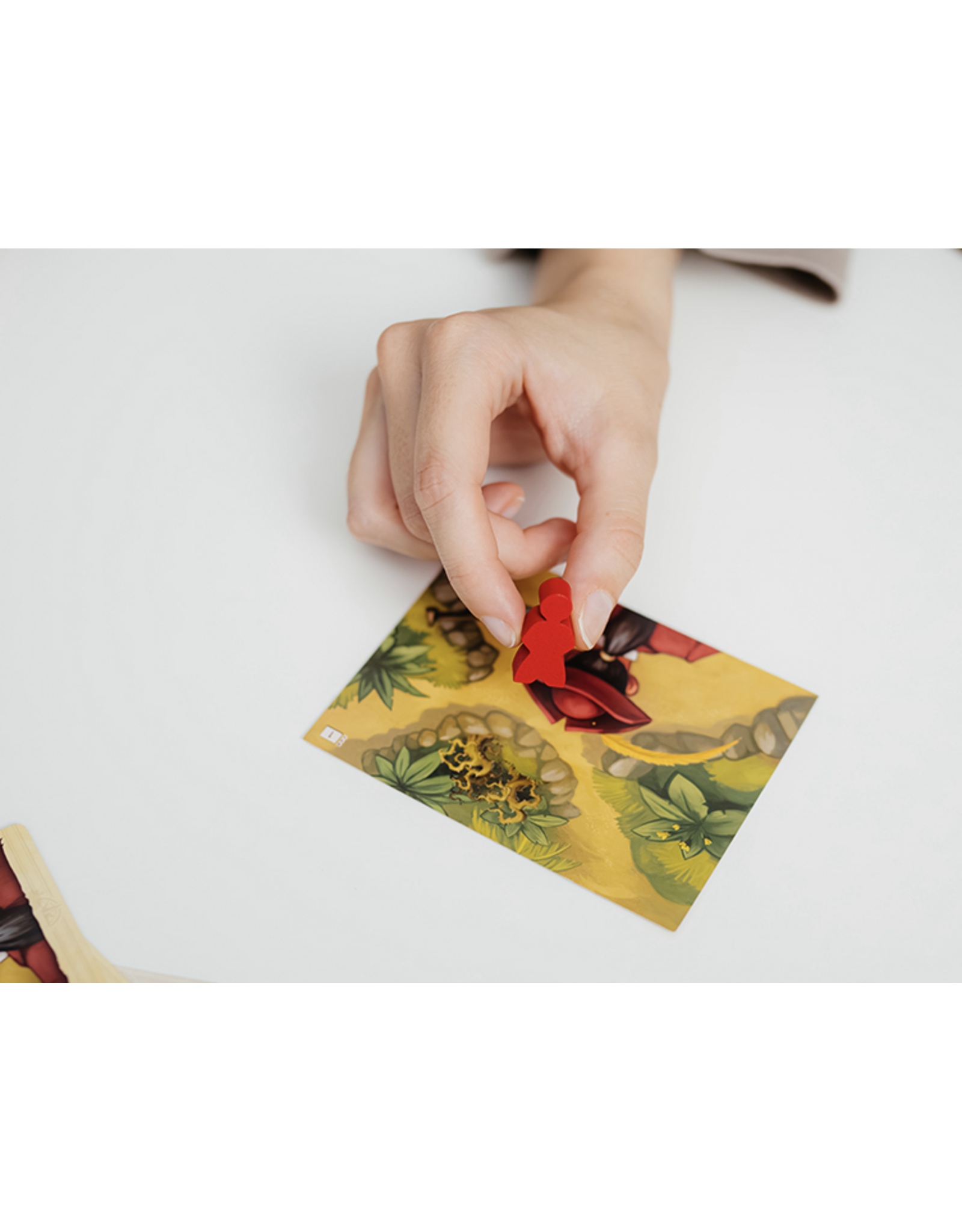 DV Games Lost in Adventure: The Curse of Jack Parrot (2025) New Fully Sleeved Board Game