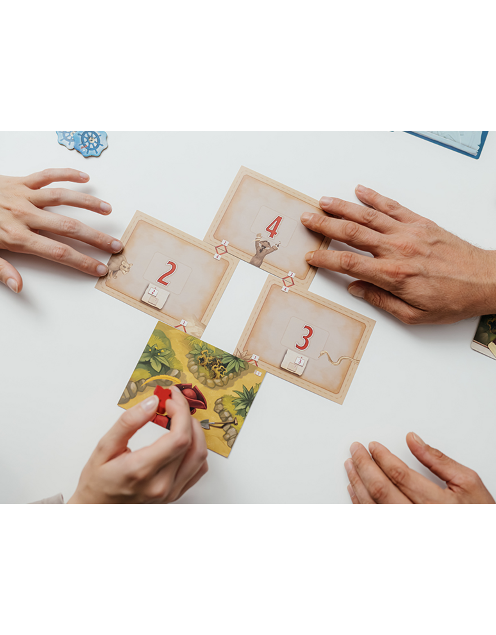 DV Games Lost in Adventure: The Curse of Jack Parrot (2025) New Fully Sleeved Board Game