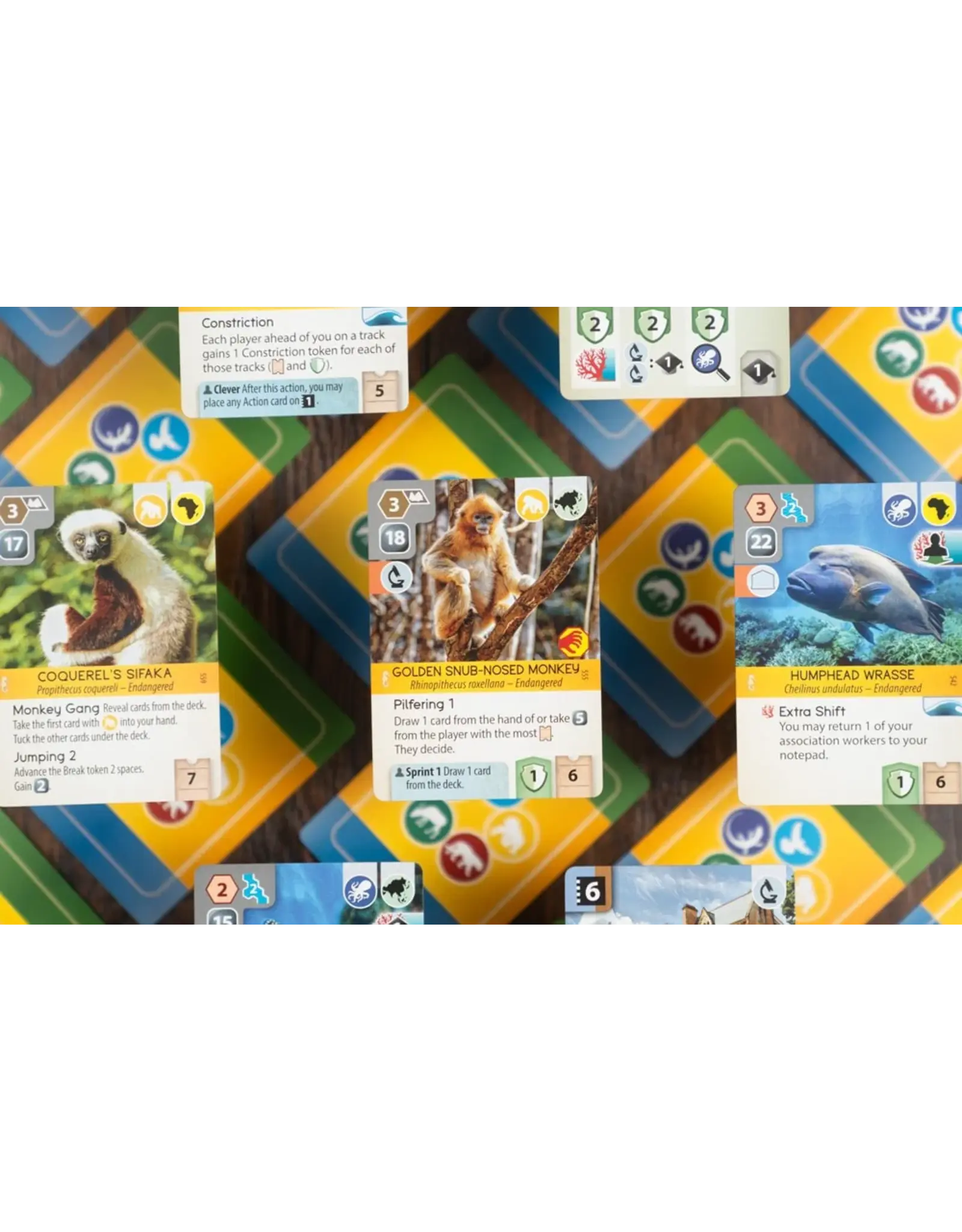 Fuerland Ark Nova (2021) Bundle, Base Game, Marine Worlds, 3x Player Boards and Sleeves