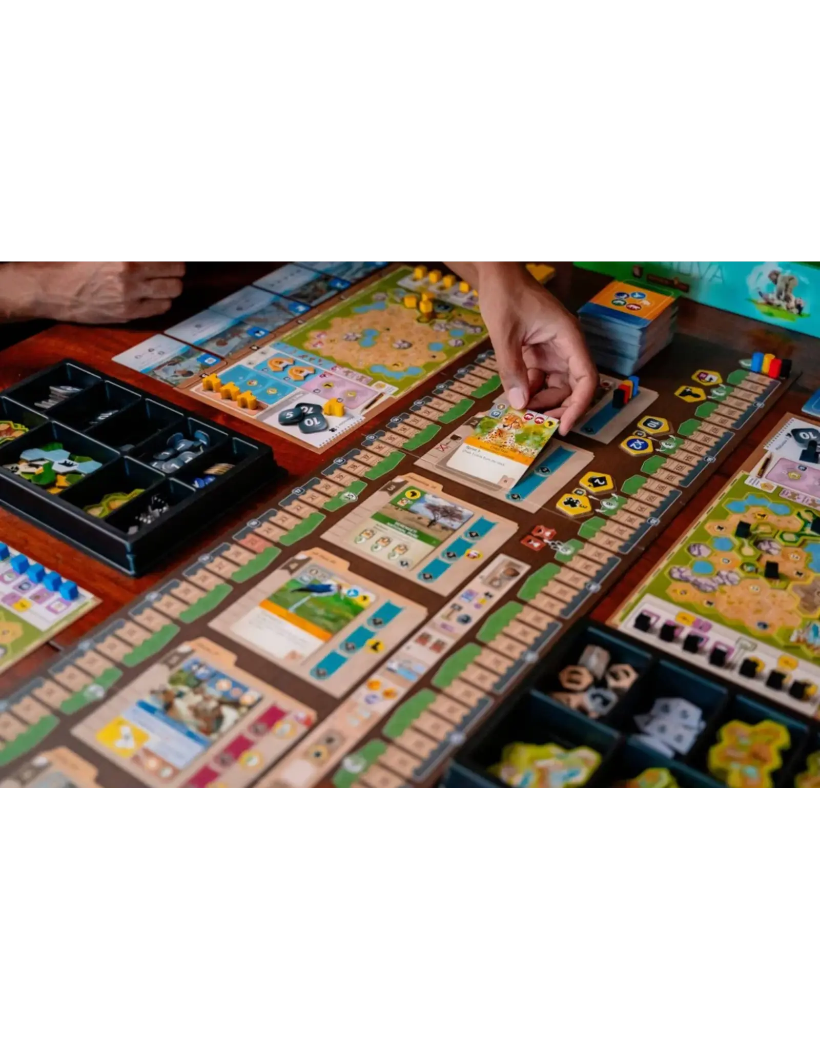 Fuerland Ark Nova (2021) Bundle, Base Game, Marine Worlds, 3x Player Boards and Sleeves