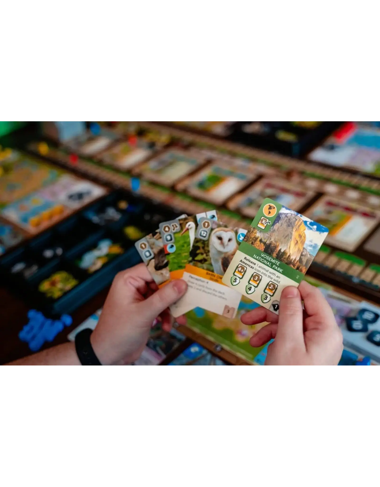 Fuerland Ark Nova (2021) Bundle, Base Game, Marine Worlds, 3x Player Boards and Sleeves