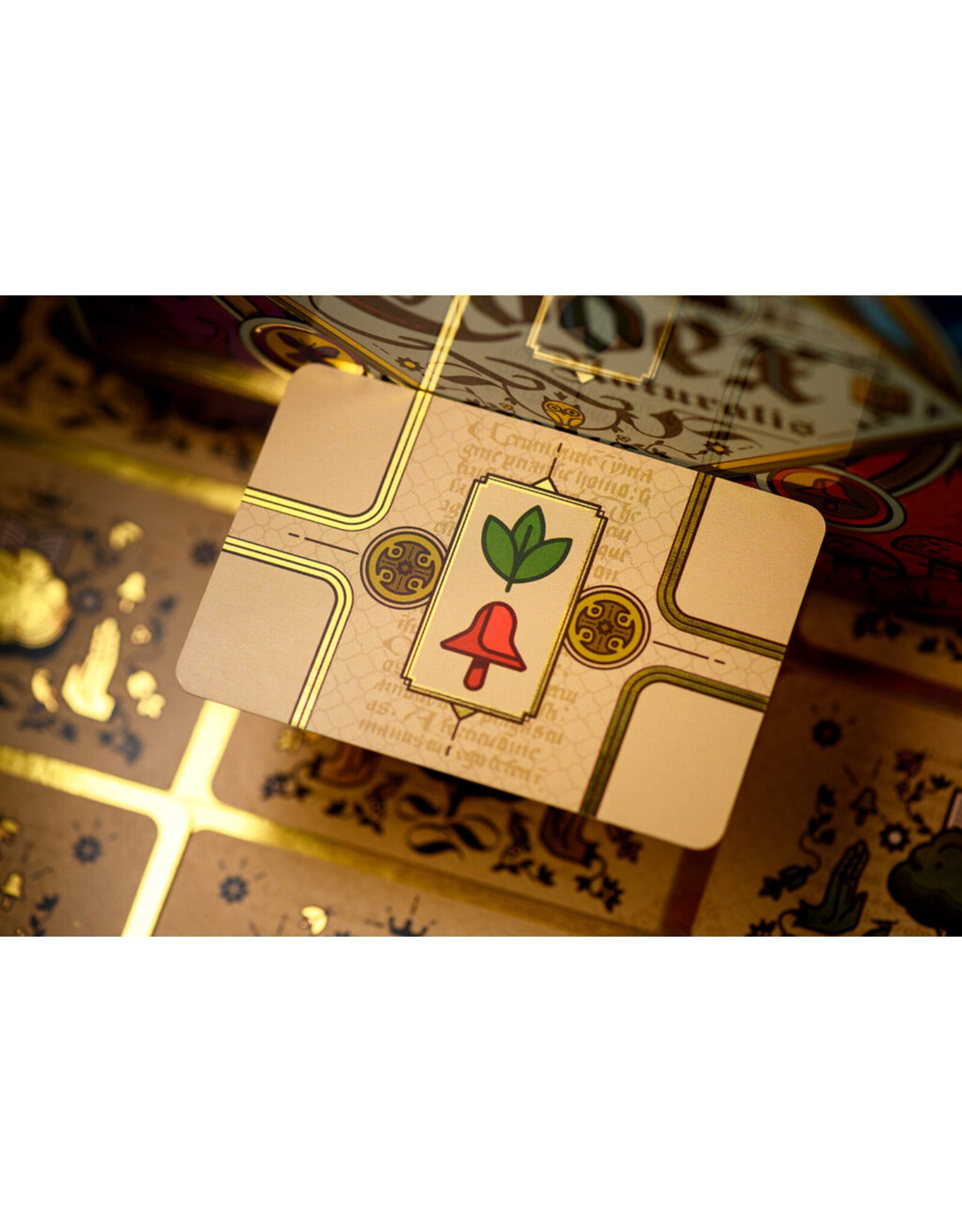 Bombyx Codex Naturalis (2021) NEW Sleeved Board Game