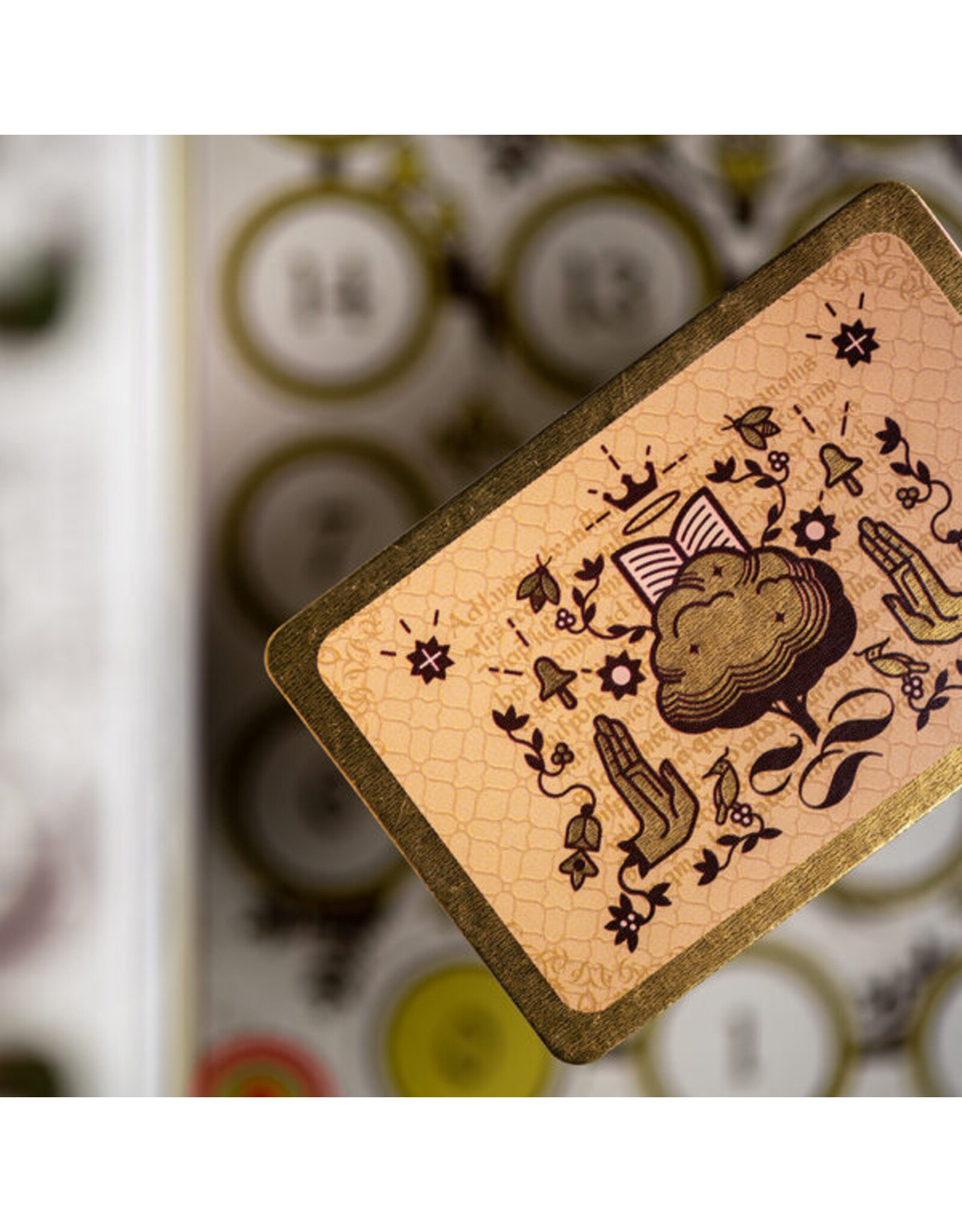 Bombyx Codex Naturalis (2021) NEW Sleeved Board Game