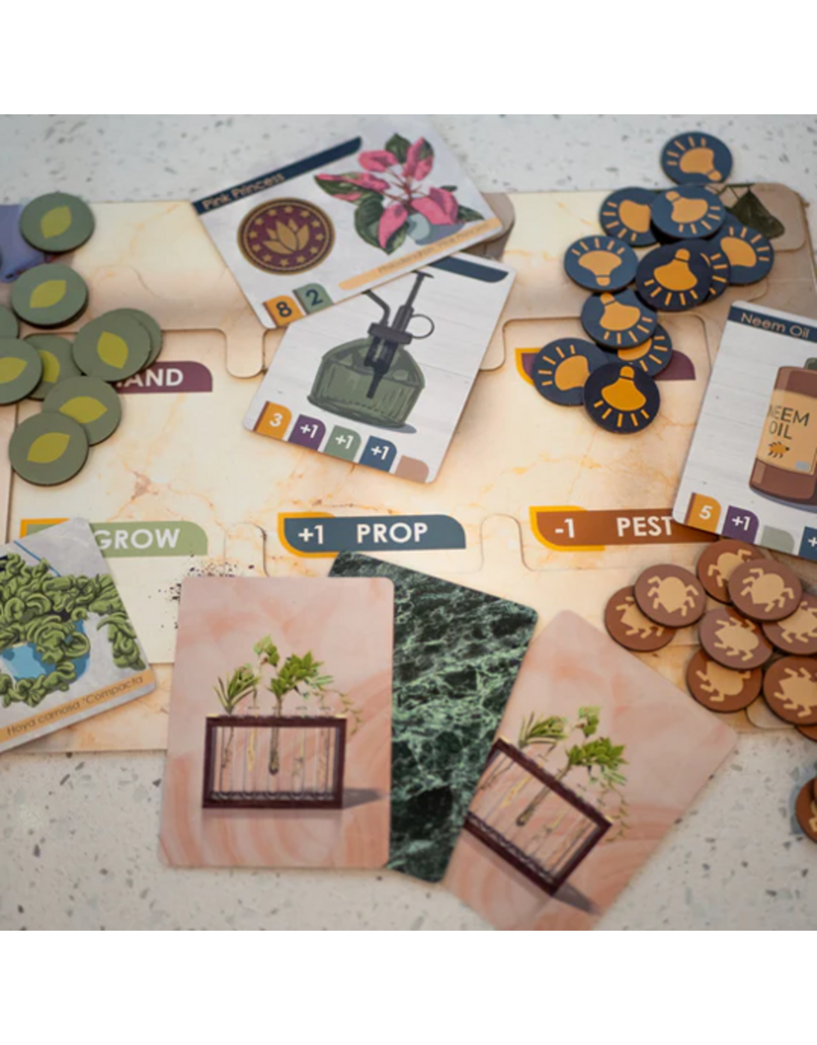 Chain Assembly Games Propagation Station (2026) NIS game