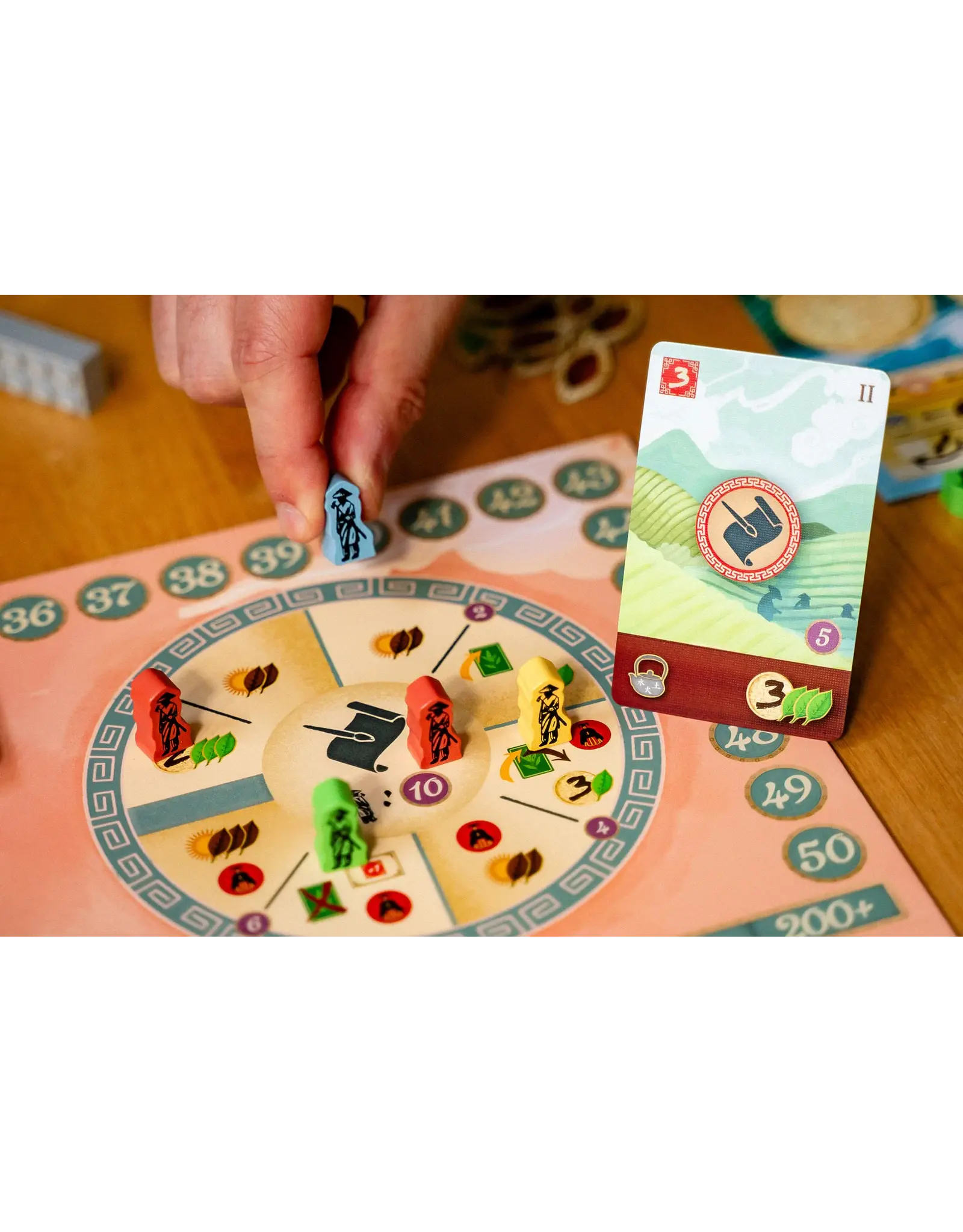 Capstone Games Tea Garden (2024) NIS with Sleeves