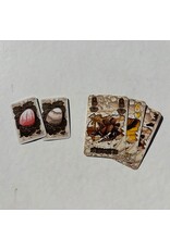 Rio Grande Games T-Rex Card Game (USED)