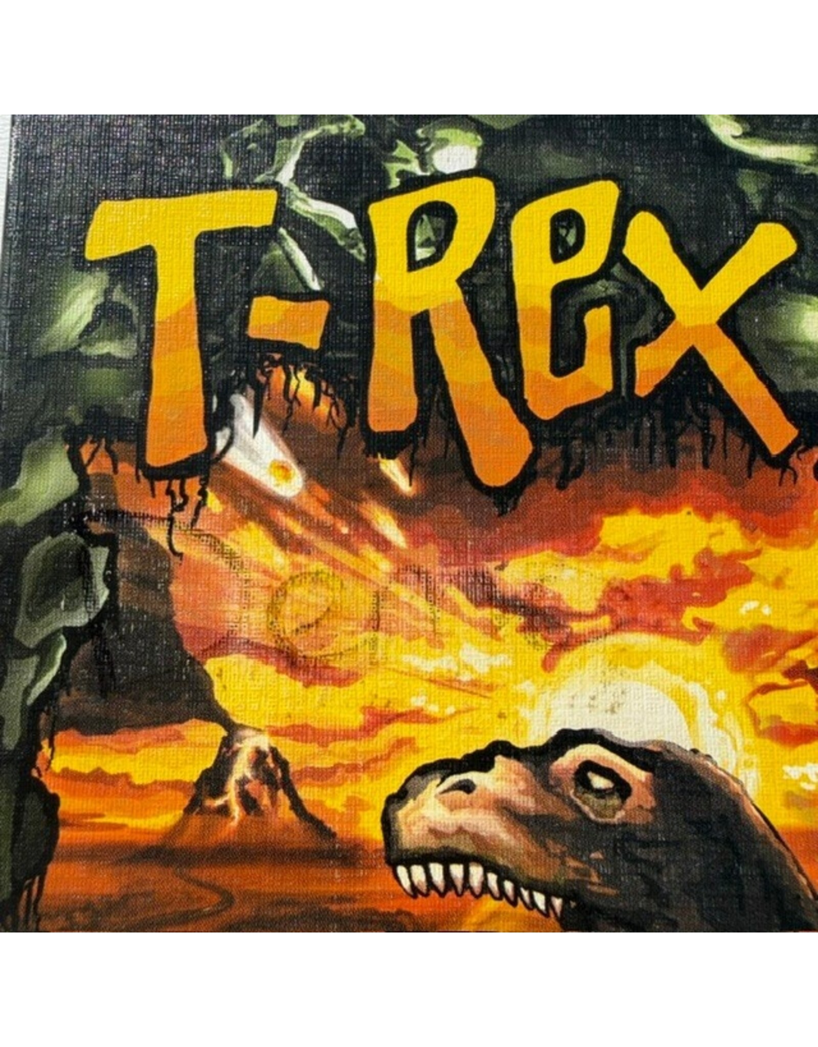 Rio Grande Games T-Rex Card Game (USED)