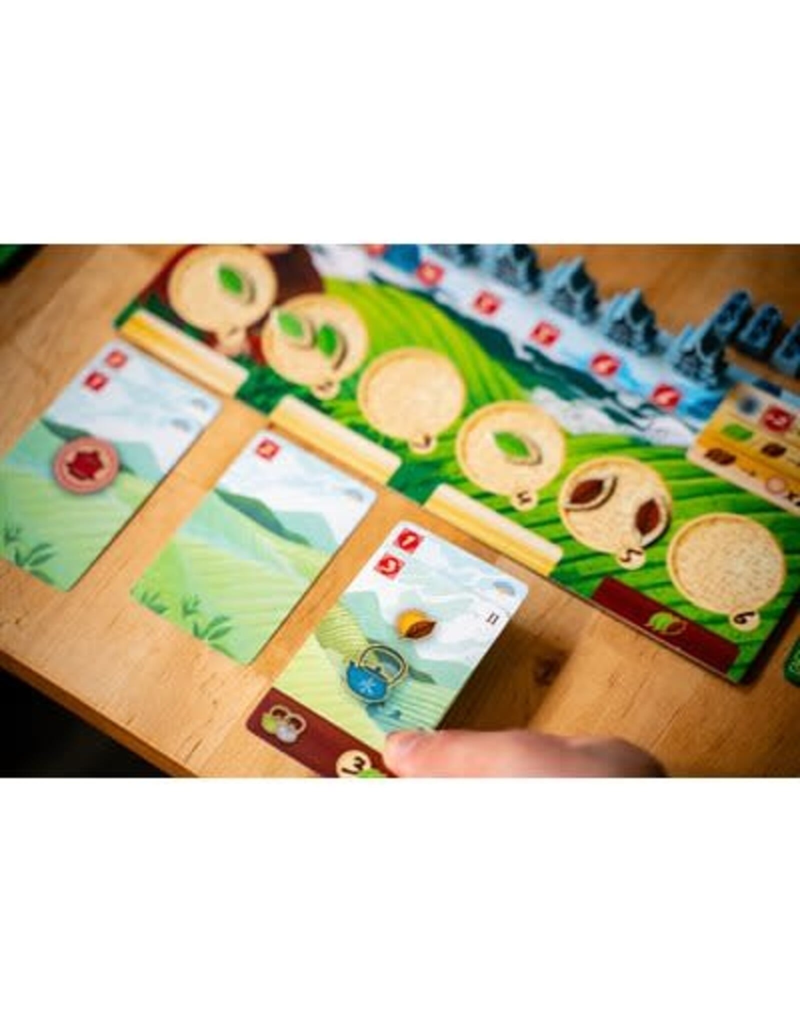 Capstone Games Tea Garden Bundle Tea Garden Base Game + Tear Garden Puerh Expansion NIS Fully Sleeved