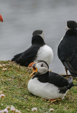 Laine Fair Isle Weekend