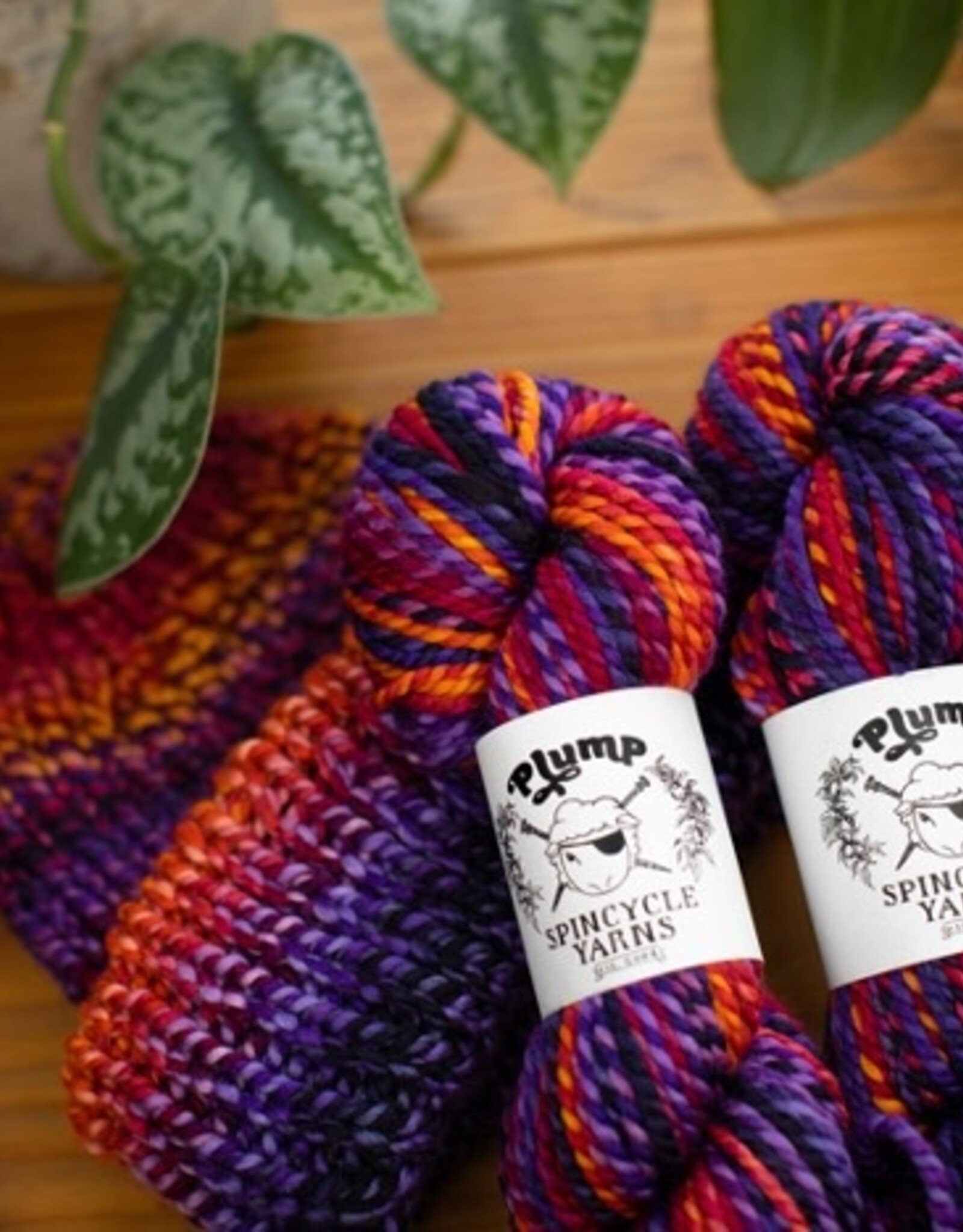 Spincycle Spincycle Yarns Plump