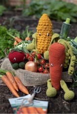 TOFT Alexandra's Garden: Vegetables Book by Kerry Lord