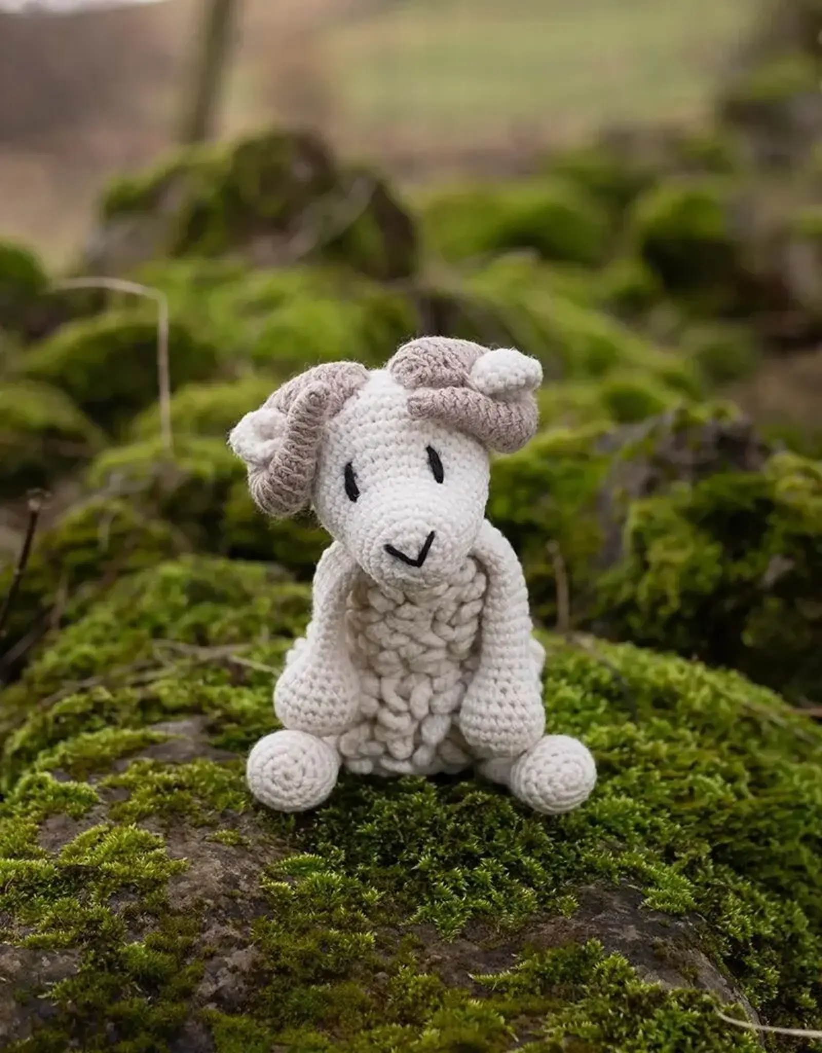 TOFT Toft Animal Crochet Kit- Bryn the Ram