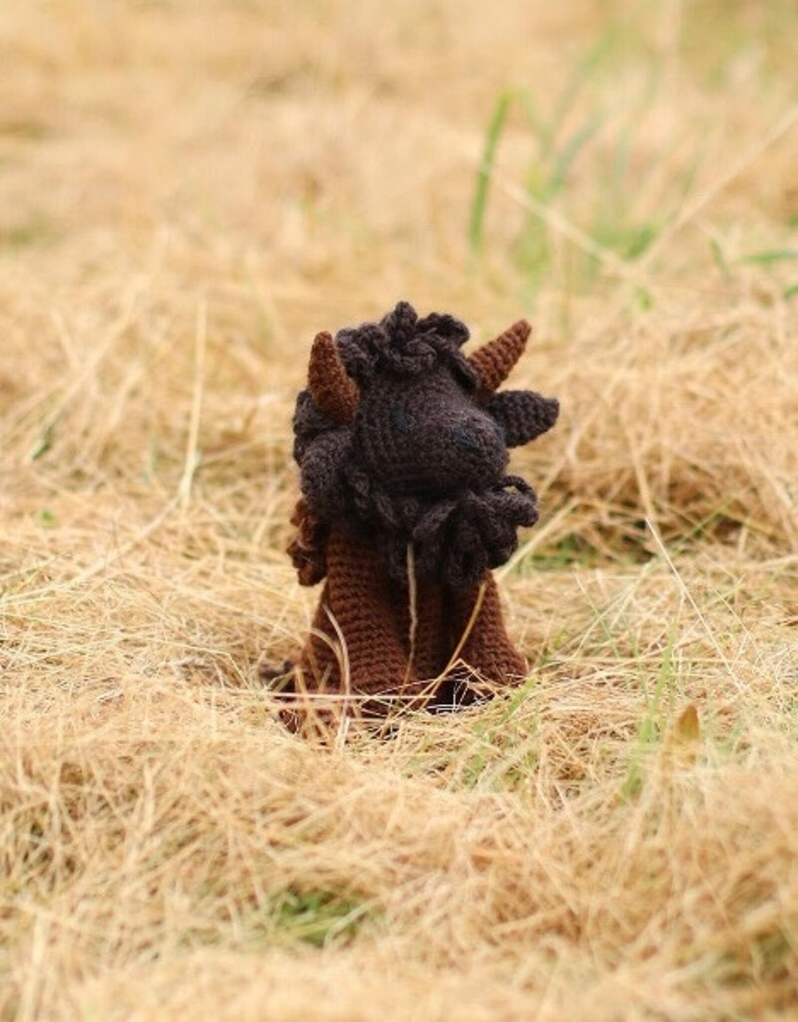 TOFT Toft Animal Crochet Kit- Isaac the Bison