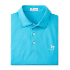 PETER MILLAR PETER MILLAR SOLID JERSEY POLO sale on select colors