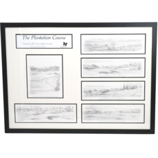 howard surdin 30th ANNIVERSARY PENCIL DRAWING COLLECTION 659 (FRAMED)