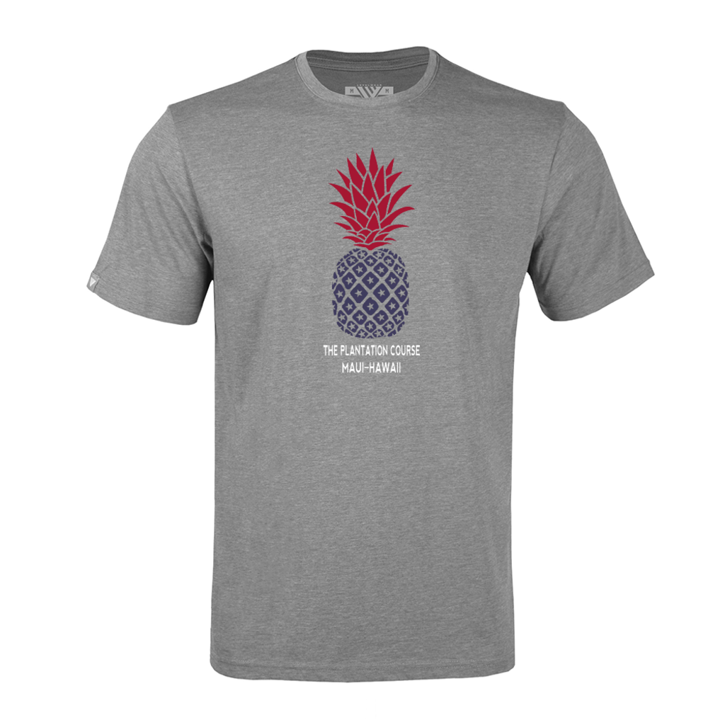 LEVELWEAR KAPALUA TSHIRT USA PINEAPPLE