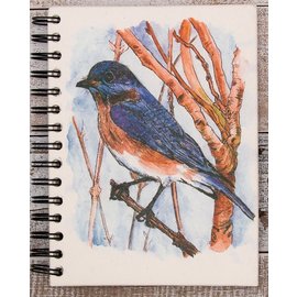 Ellie Pooh Journal - Bluebird Sketch