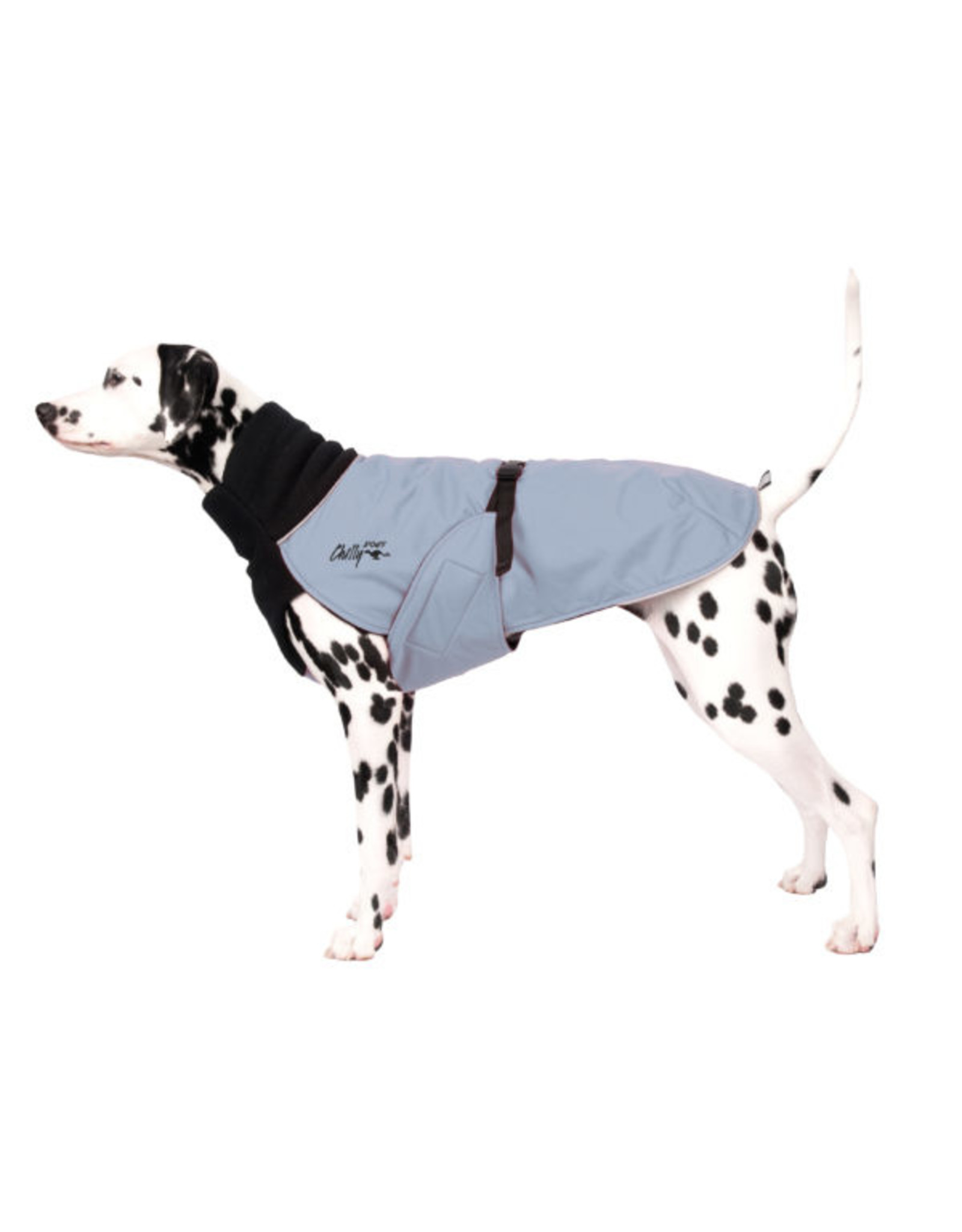 Chilly Dog - Great White North Coat - Long & Lean (black shell)