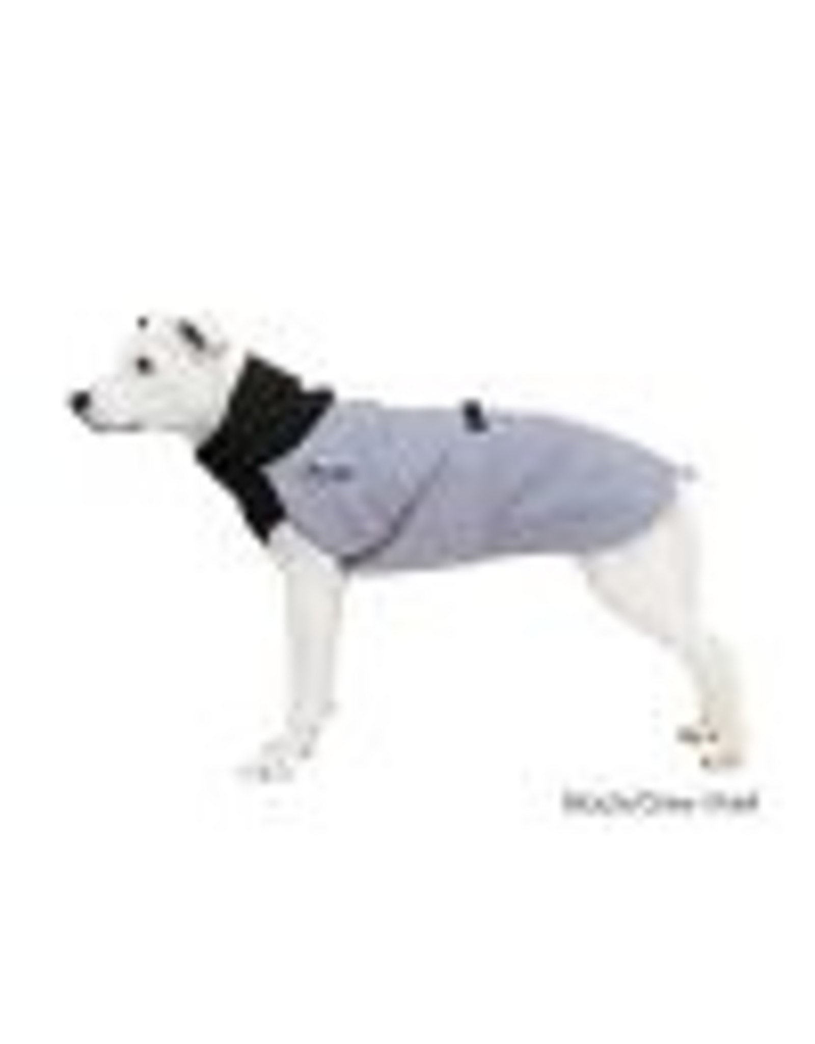 Great white north dog cheap coat