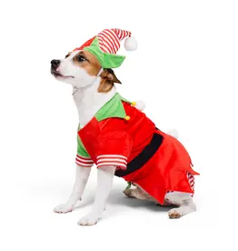 Elfconfident Holiday Costume