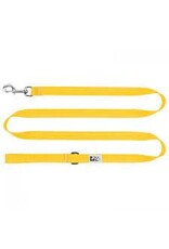 RC Pets Primary Dog Leash