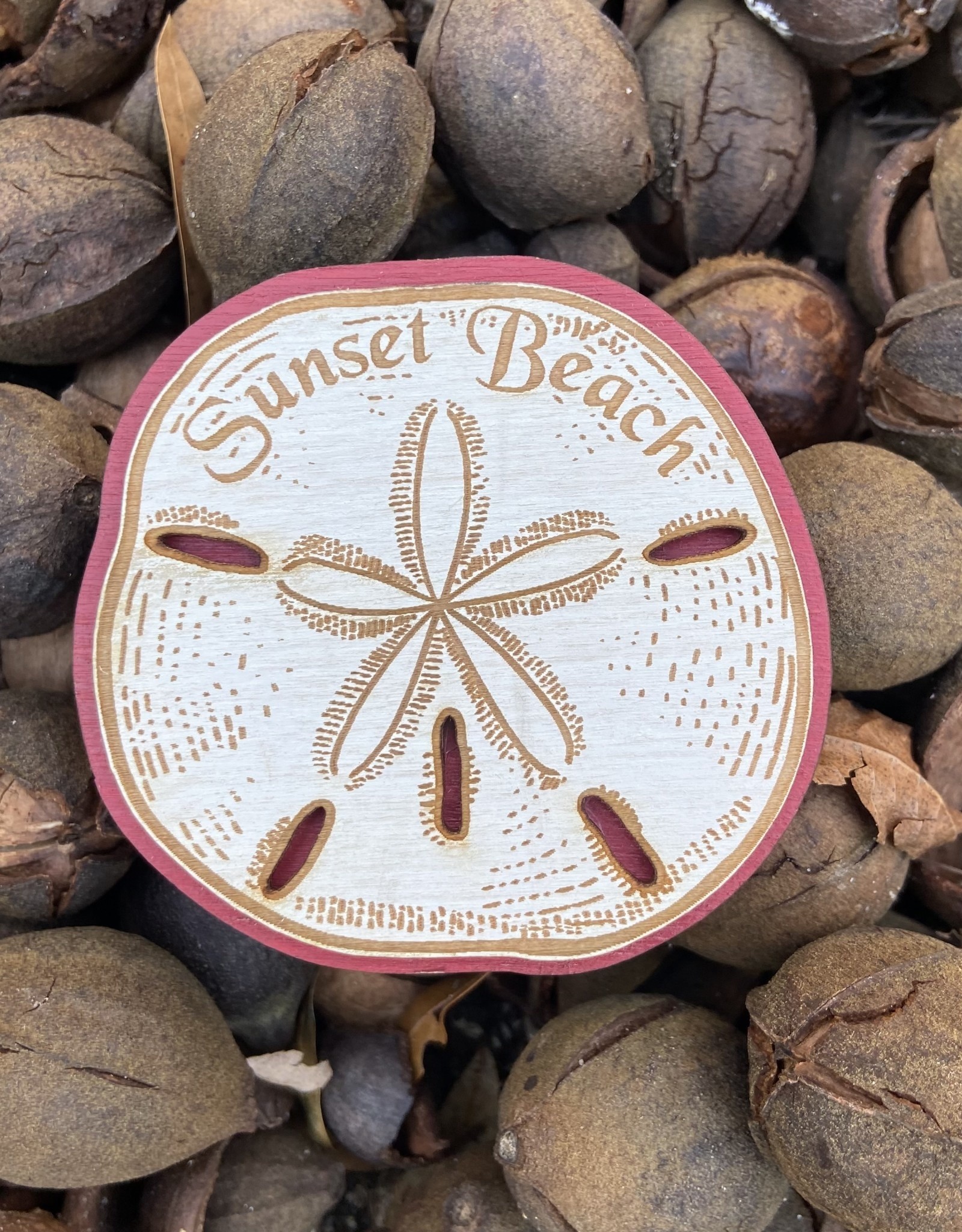 LRG SAND DOLLAR PURPLE MAGNET - Sunset Beach Trading Company