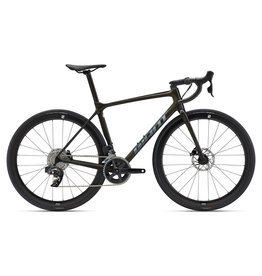 Giant Giant TCR Advanced 1+ Disc-AR size Med/Large - Panther