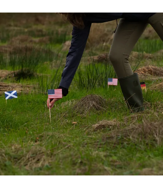 Laphroaig Cairdeas 10 Year Single Malt Scotch | 750ml