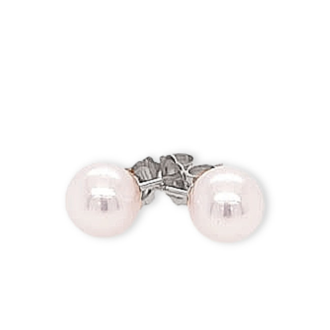 Cultured pearl (5.5mm) white stud earrings 14k white gold