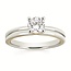 0.05Ctw. Diamond Semi Mount  14K  WG/YG Gold 2.9 gr