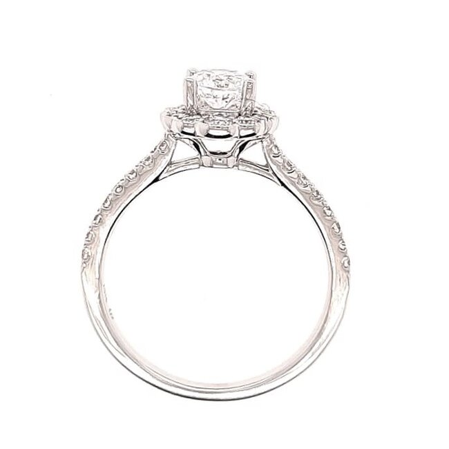 Diamond (0.50 ctw) halo with scalloped edge setting CZ ctr 14k white gold 2.9 gr