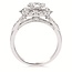 Diamond (0.46 ctw) CZ ctr halo with split shank setting, 14k white gold 4.9 gr