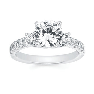 Diamond (0.49ctw) 3-stone setting, 14k white gold