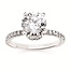 Diamond (0.30 ctw) hidden halo setting w/CZ ctr 14k white gold 3.7 gr