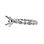 Diamond (0.27ctw) round & marquise setting, 14k white gold 2.7 gr