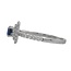 Sapphire (0.60 ct) & diamond (0.63 ctw) round double halo ring