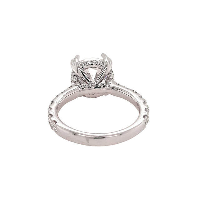 LAB GROWN Diamond (1.0 ctw) w/CZ center dual prong hidden halo ring 14k white gold 6.4 gr
