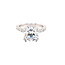 LAB GROWN Diamond (1.0 ctw) w/CZ center dual prong hidden halo ring 14k white gold 6.4 gr