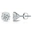 LAB GROWN Diamond (0.24 ctw) martini studs 14k white gold 0.5 gr